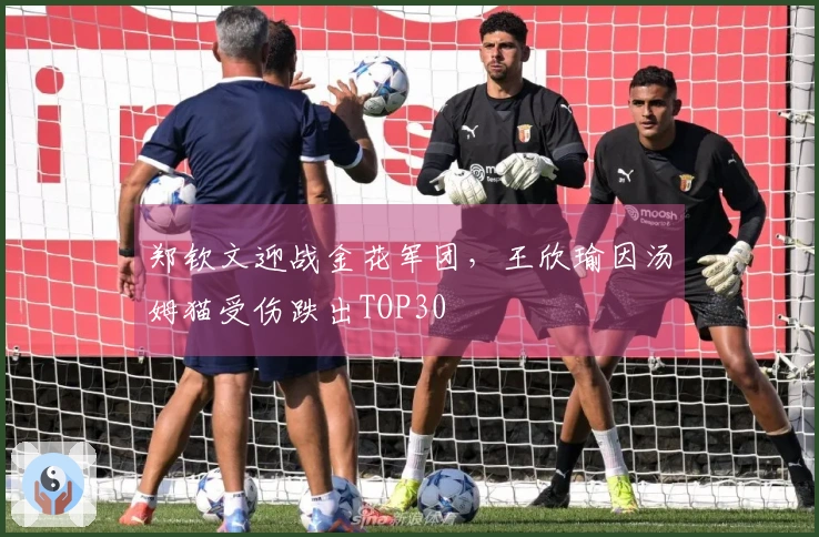 郑钦文迎战金花军团，王欣瑜因汤姆猫受伤跌出TOP30