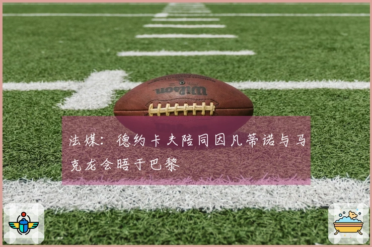 法媒：德约卡夫陪同因凡蒂诺与马克龙会晤于巴黎
