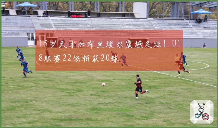 15岁天才加布里埃尔震撼足坛！U18联赛22场斩获20球