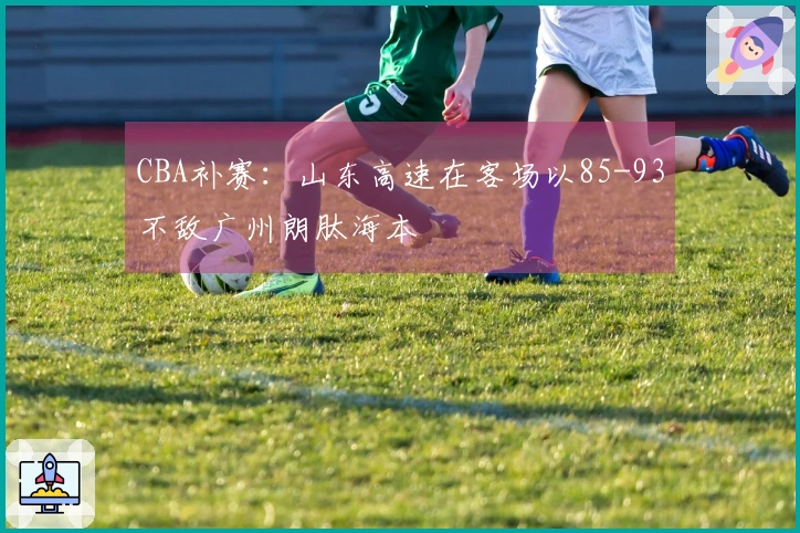 CBA补赛：山东高速在客场以85-93不敌广州朗肽海本