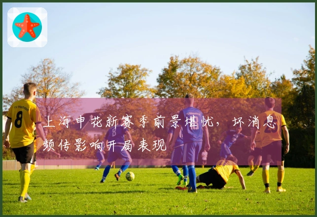 上海申花新赛季前景堪忧，坏消息频传影响开局表现